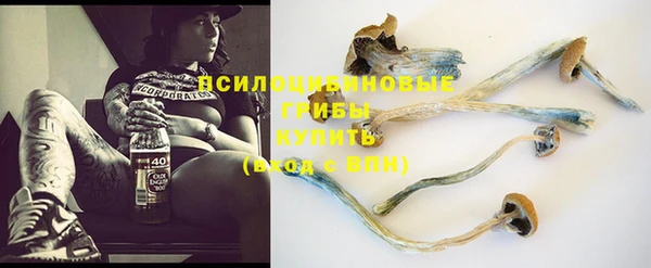 прущий лед Алексин