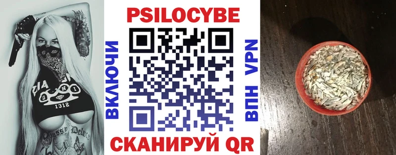 Псилоцибиновые грибы Cubensis Чердынь