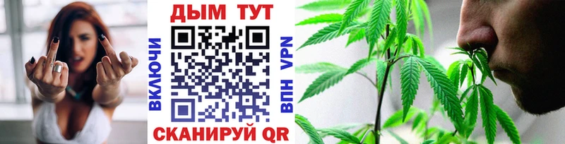 как найти   Чердынь  Канабис THC 21% 
